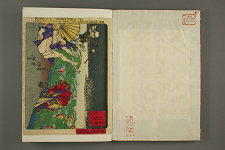 chi05_03842_p0002明治１４・芳年「東京開化狂画名所」「不忍弁財天　雷蓮池へおちる」